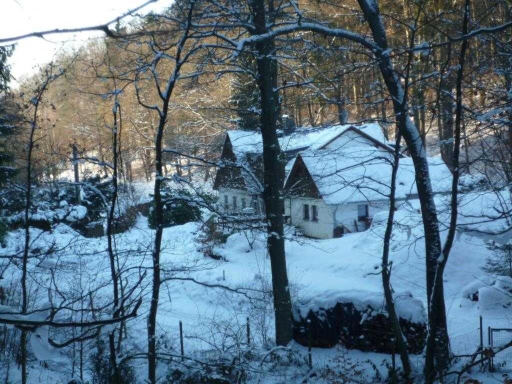 Ferienhaus Jaegerhaus Oppach Alleinlage Mit See Villa Exterior photo