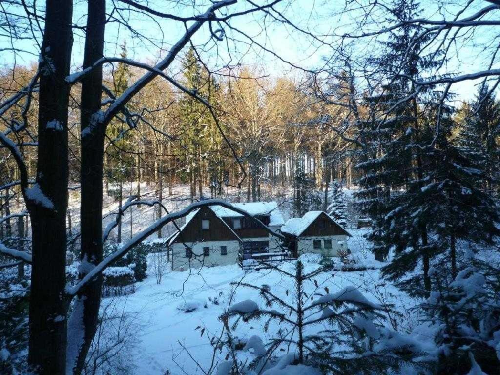 Ferienhaus Jaegerhaus Oppach Alleinlage Mit See Villa Exterior photo